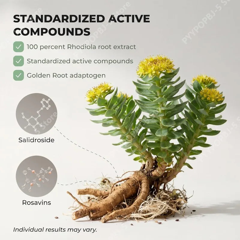 Rhodiola Rosea Supplement Golden Root Adaptogen Capsules Hodiola Rosea Extract Powder Alternative with Salidroside 60 Capsules