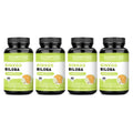 Ginkgo Biloba for Brain & Memory Support - Cognitive Function & Focus Enhancer, Mental Clarity Supplement